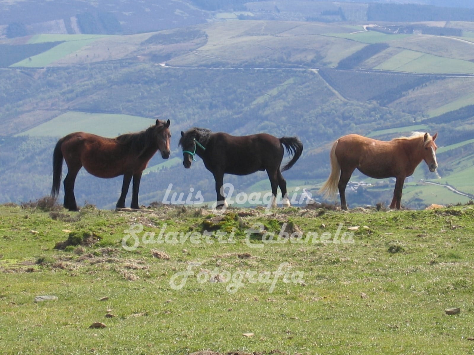 Paisaxe de montaña