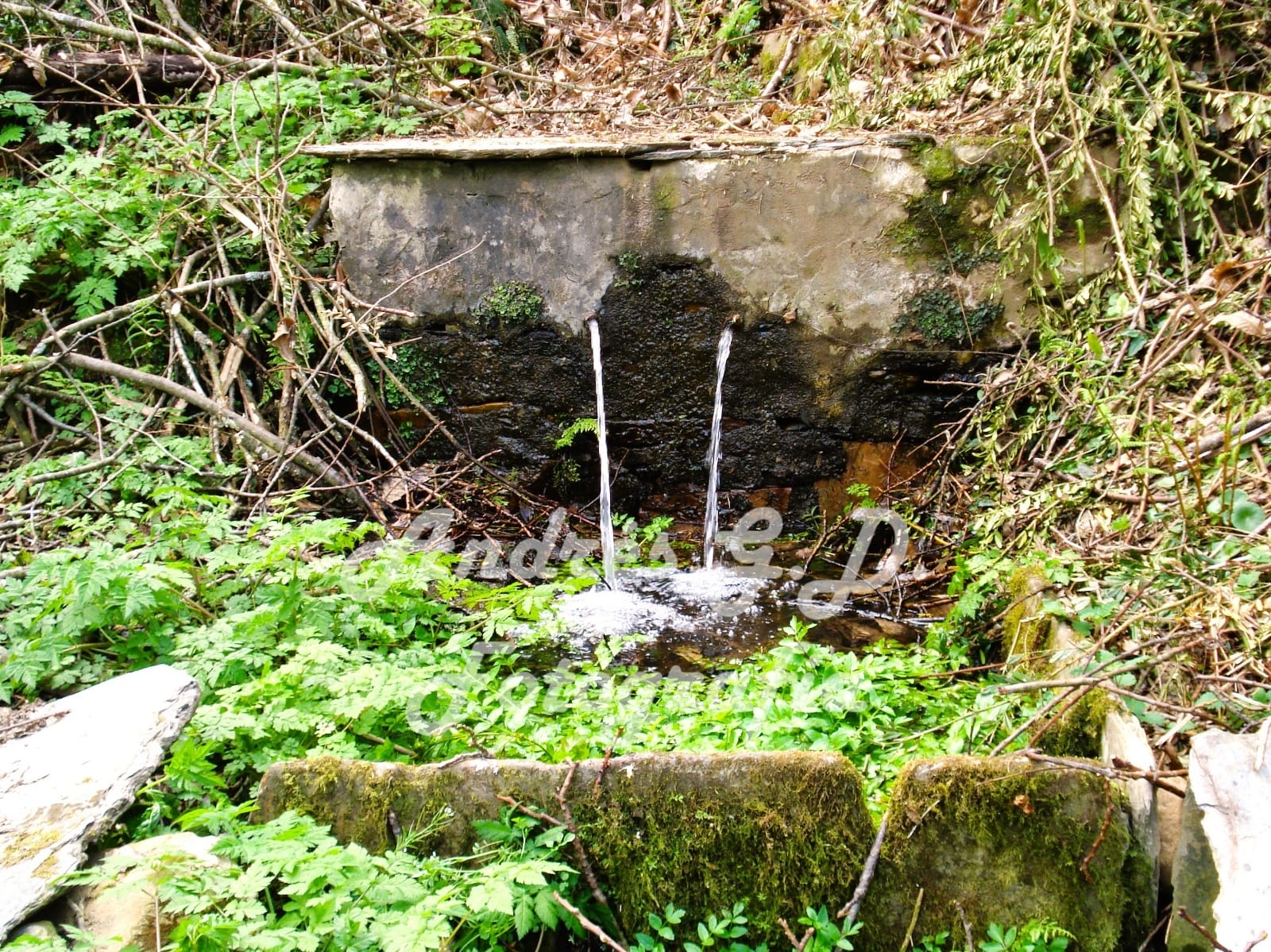 Fonte da Rigueira