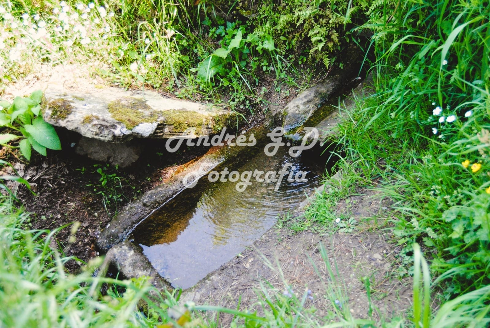 Fonte de Angüín