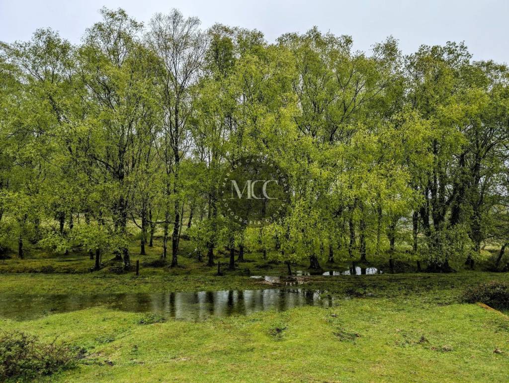 Natureza en estado&nbsp;puro