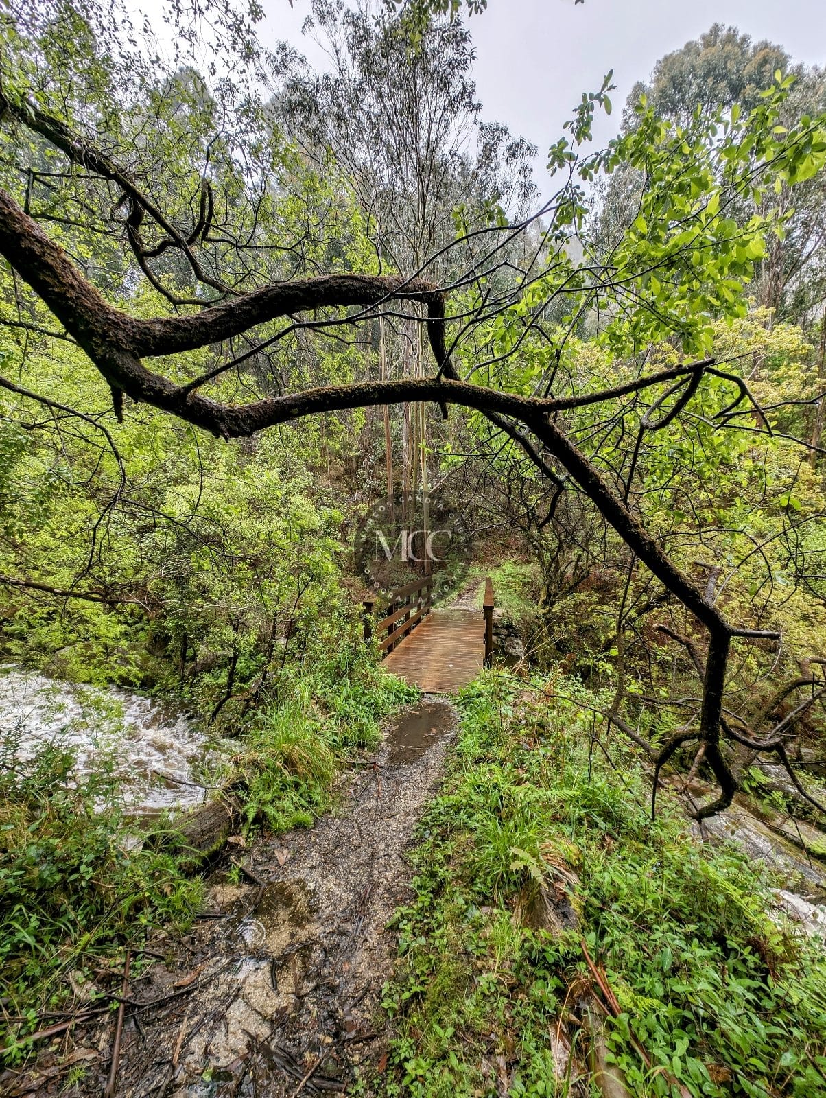 Recuncho sobre o río