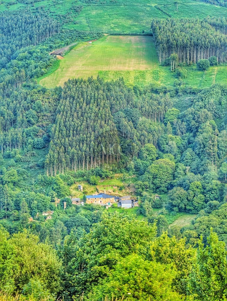 A Valiña