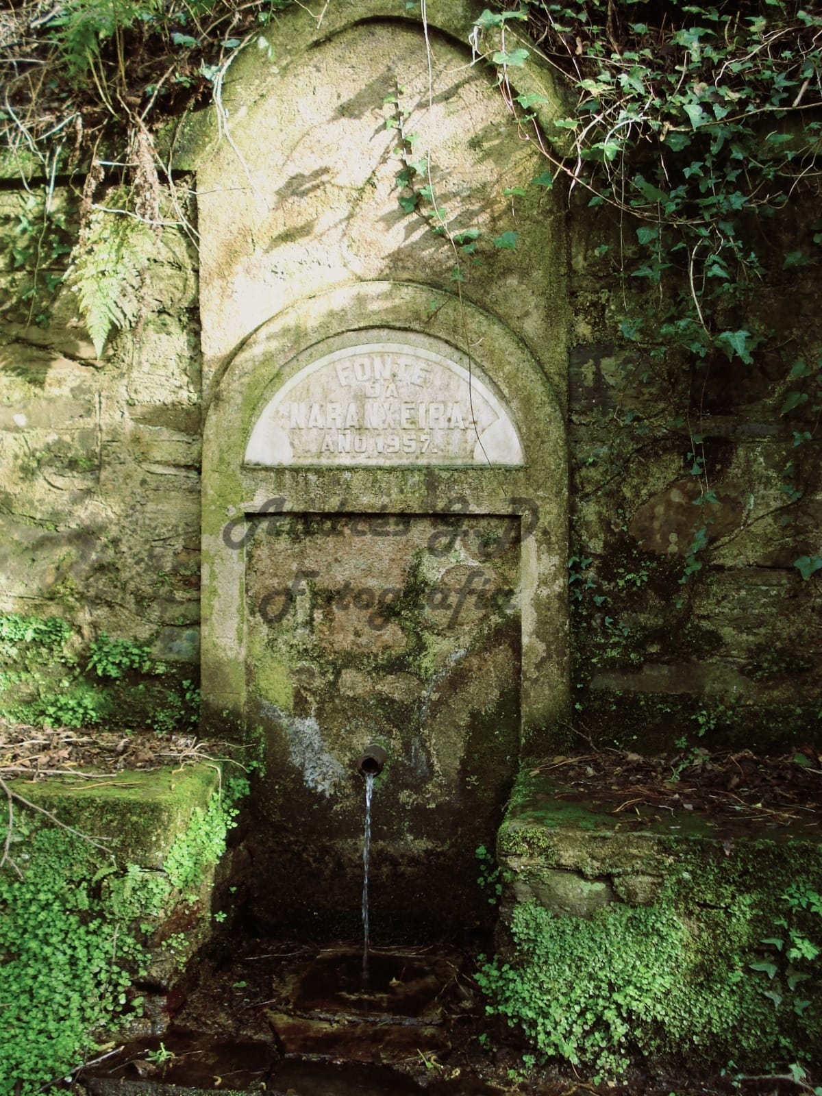 Fonte da Naranxeira