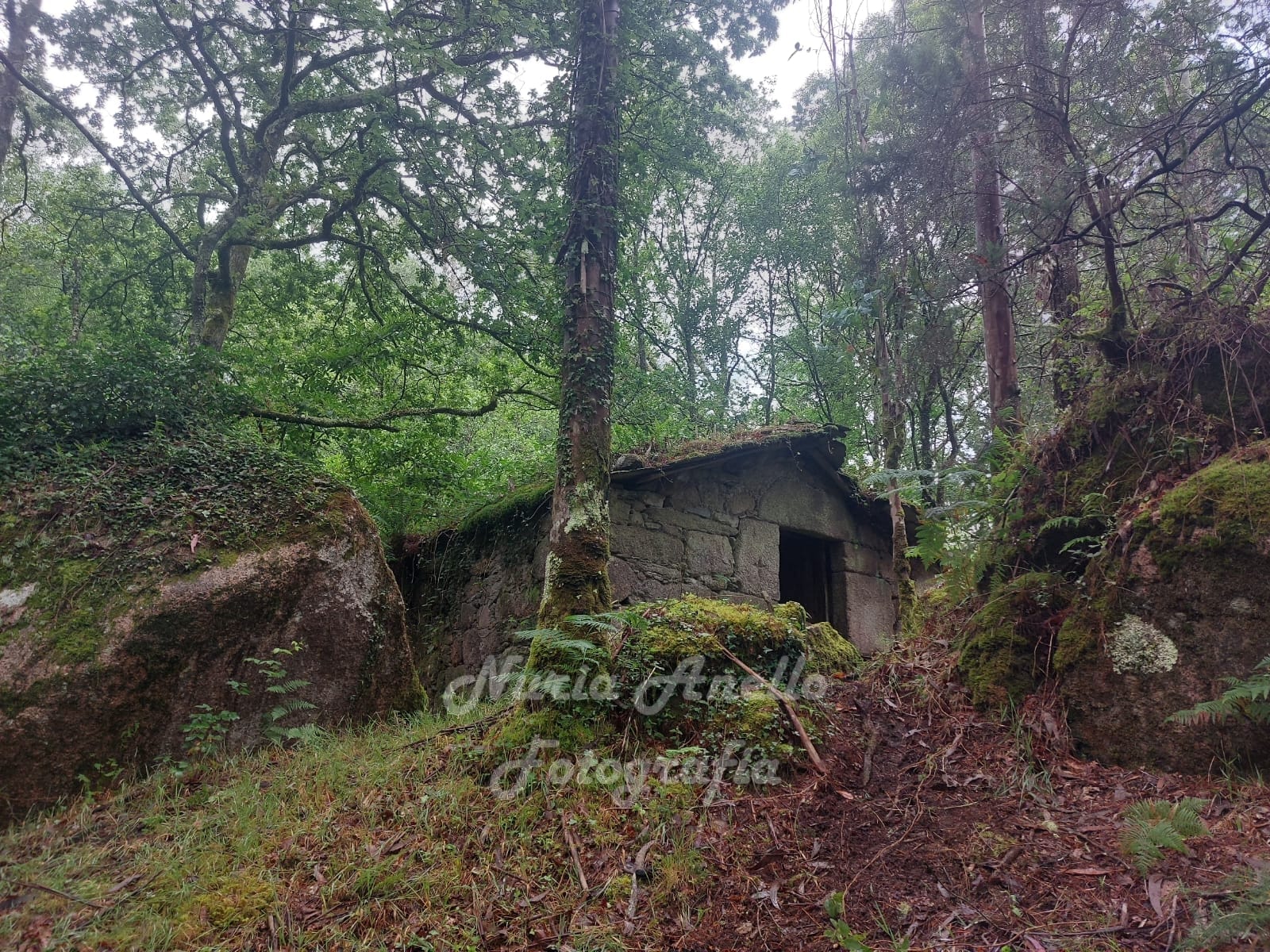 Muíño das Casas de Abaixo
