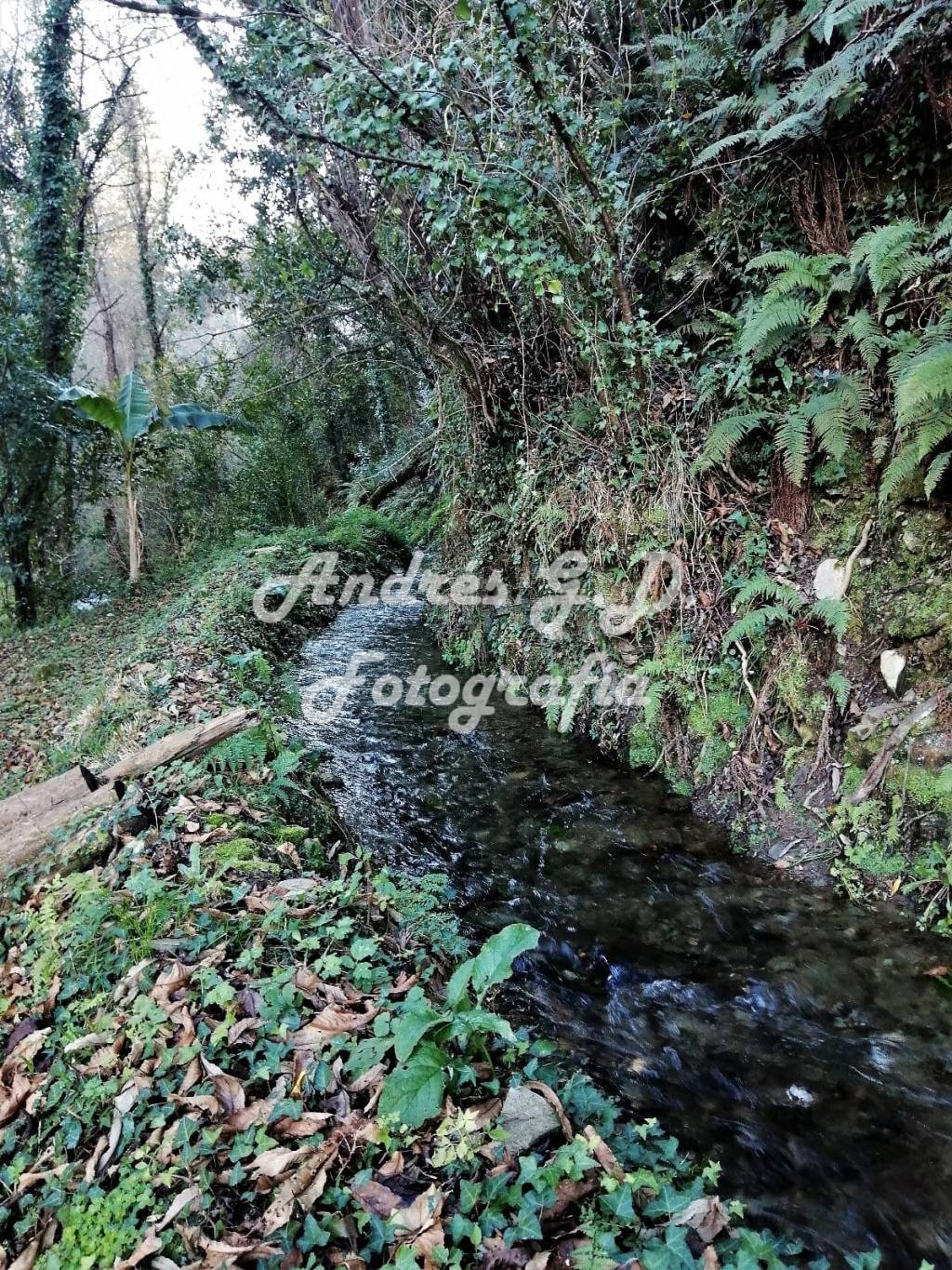 Presa do río&nbsp;Valiñadares