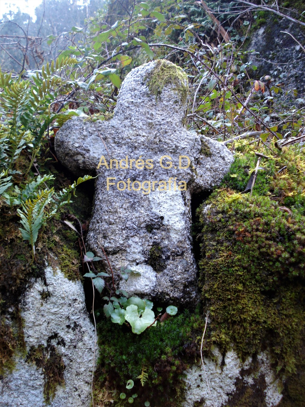 Cruz da «Ameixoada»