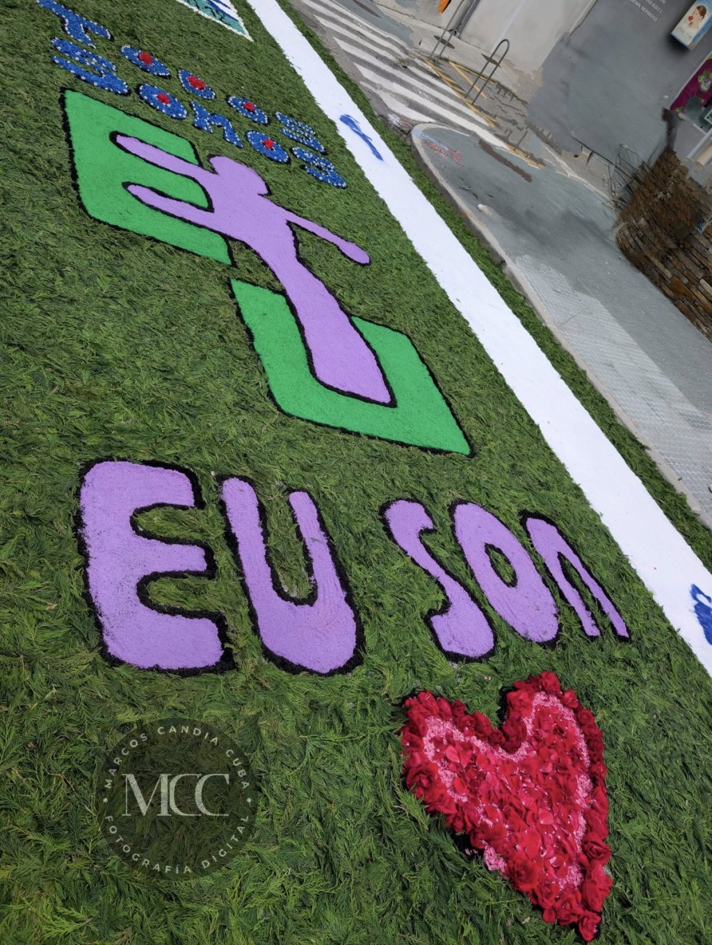 Alfombras florais Burela