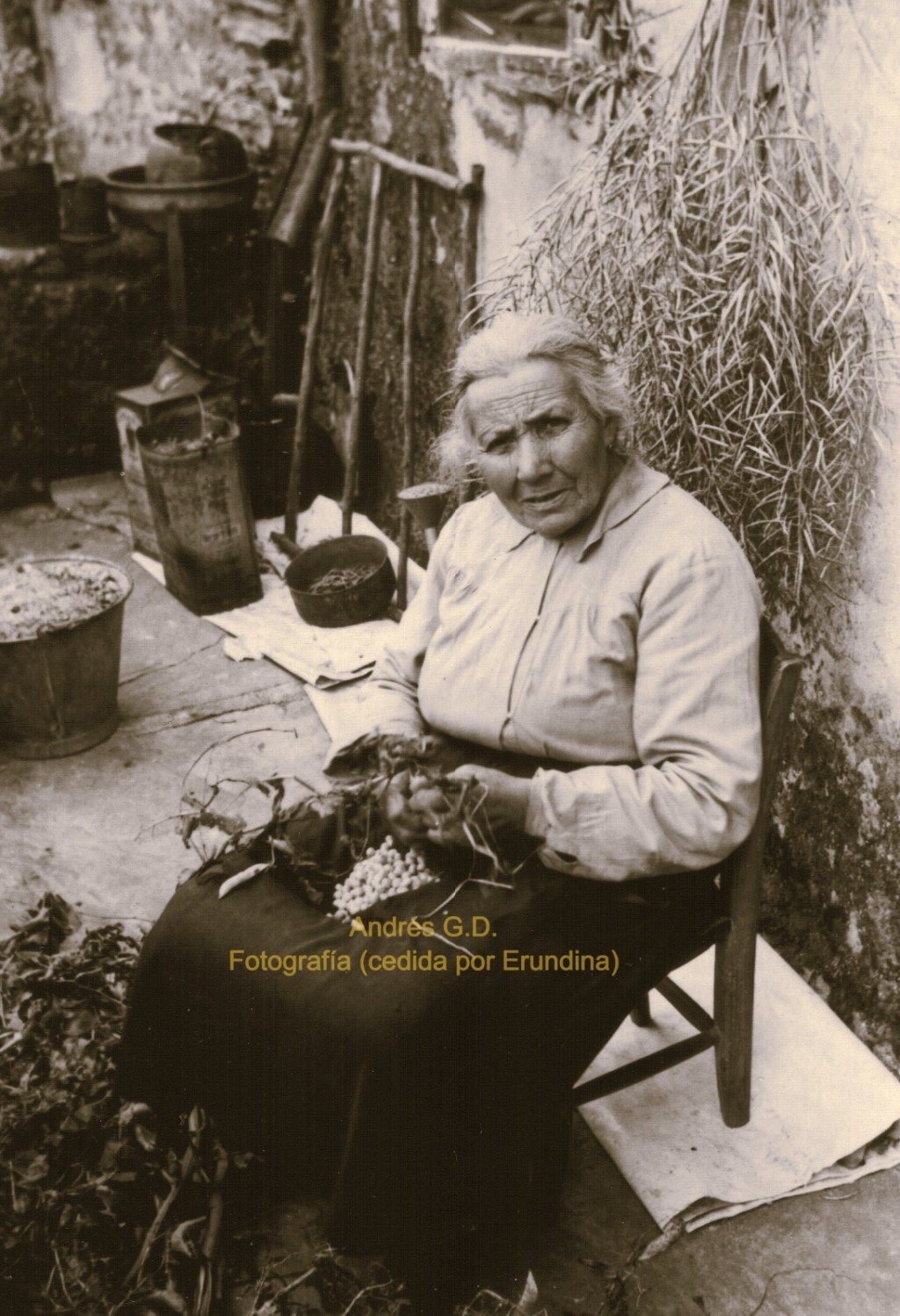 Unha peculiar muller