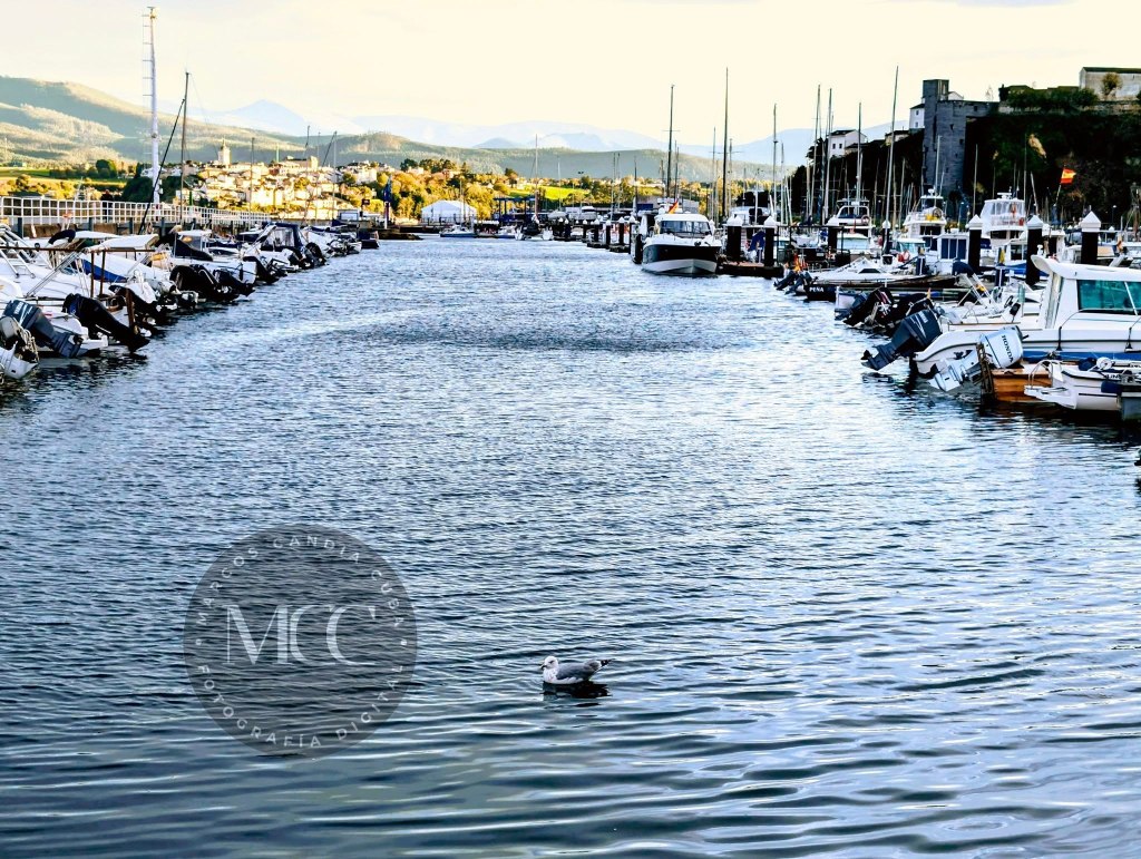 Unha experta mariñeira