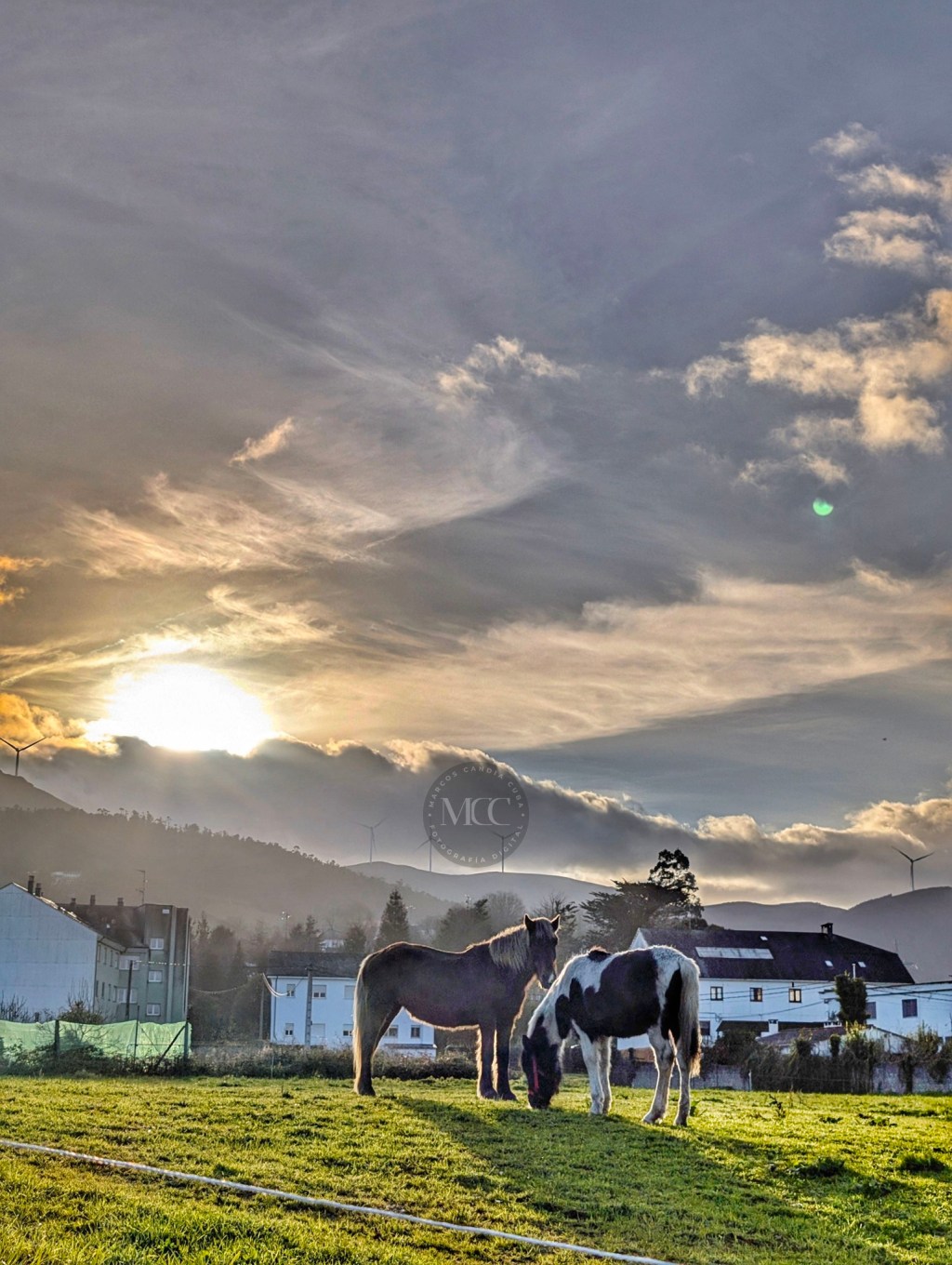 Protagonistas do atardecer