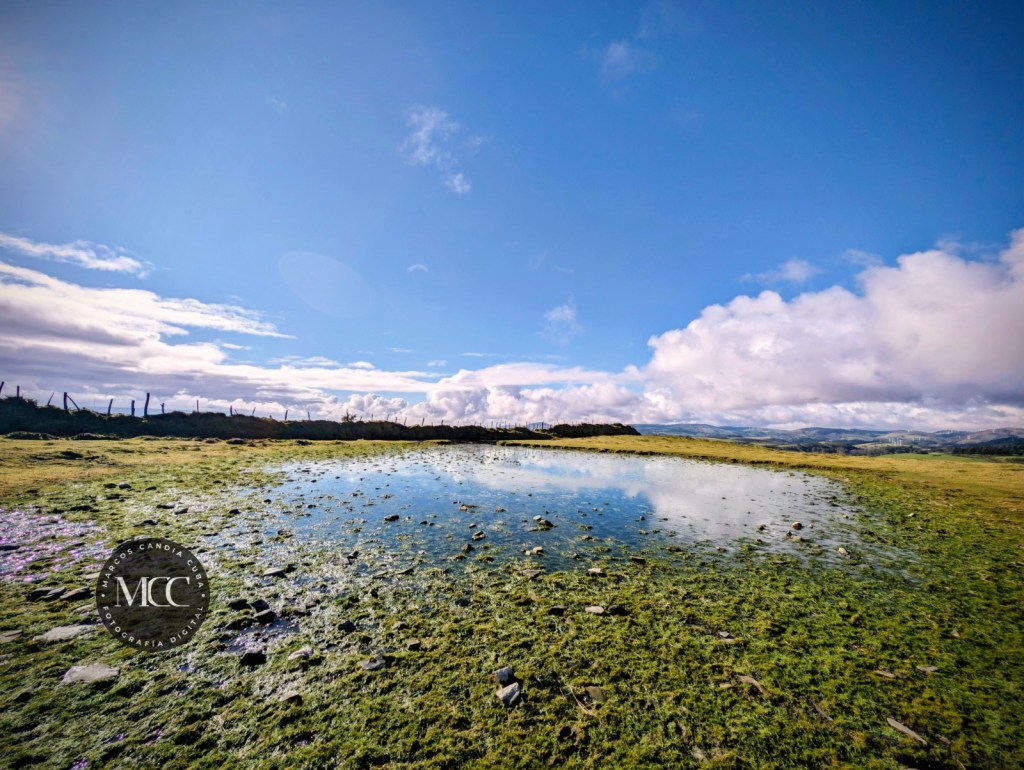 A charca da&nbsp;Cabrita
