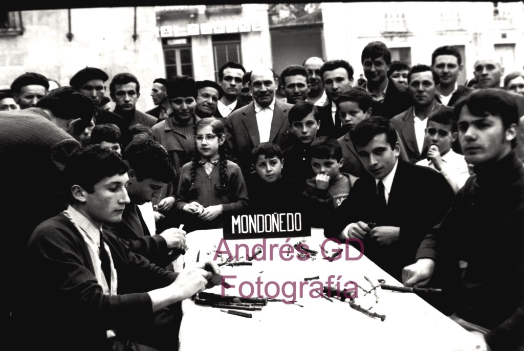 Concurso de enxertos