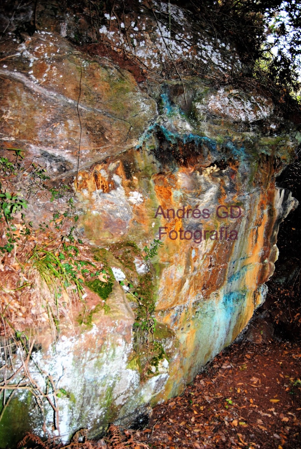 Declaración mineira