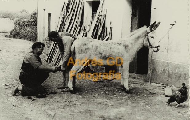 Estampa mindoniense de&nbsp;1956