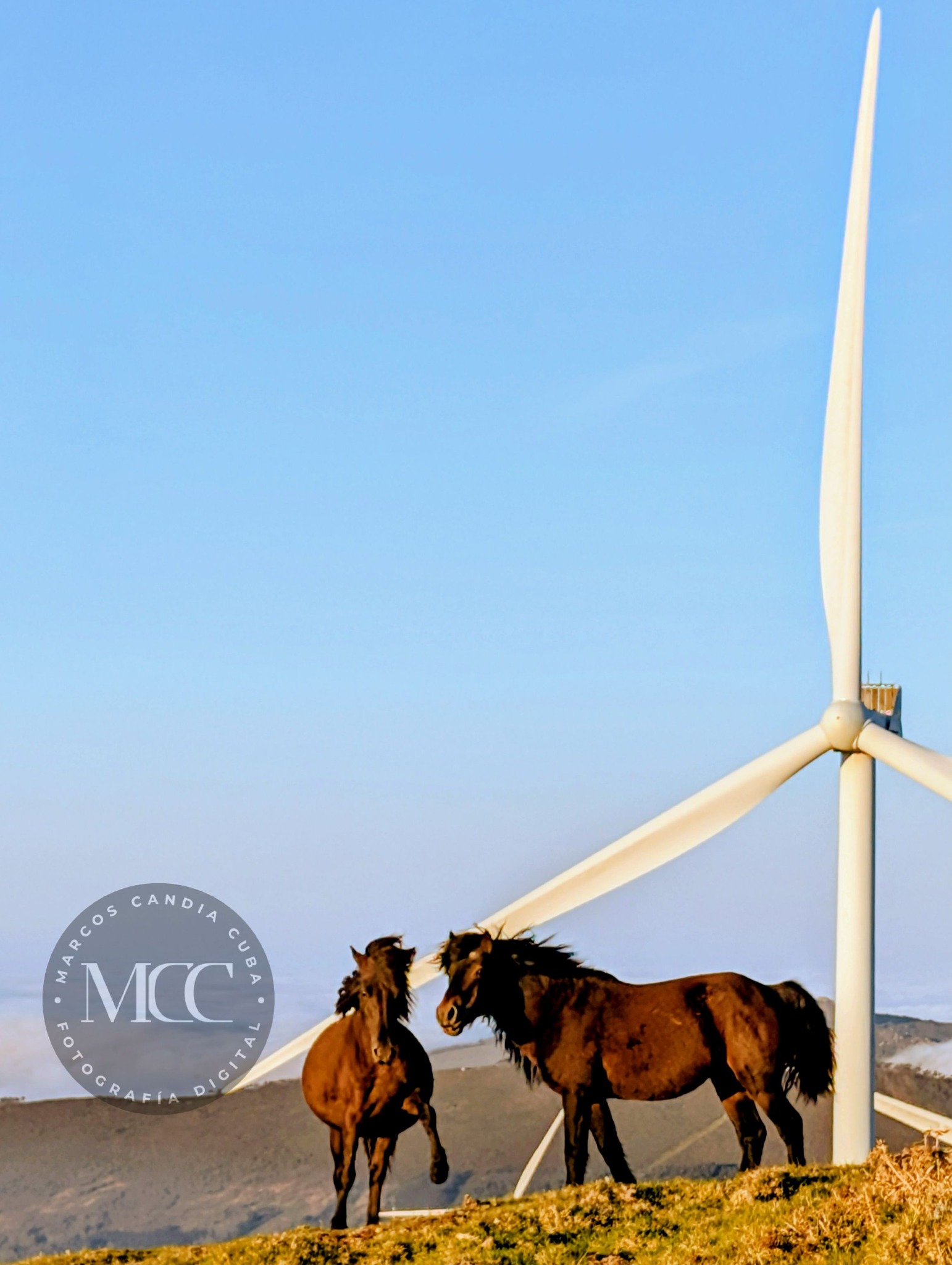 O vento antigo e o novo